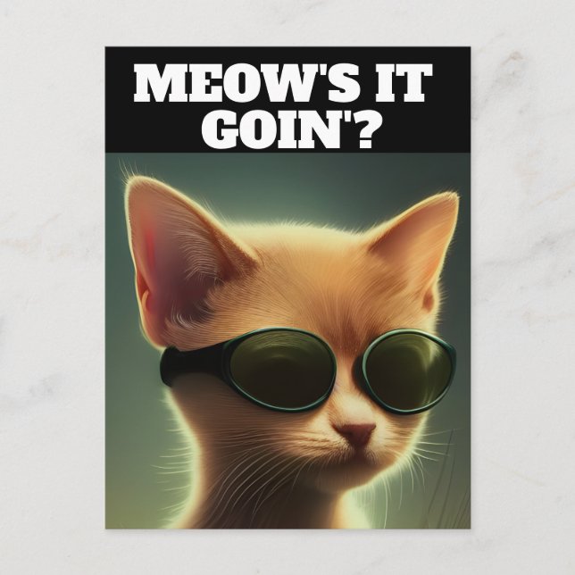 Cartões postais GINGER KITTEN CAT ART SUNGLASSES H (Frente)