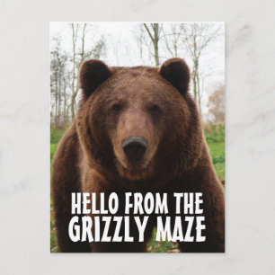 CARTÕES POSTAIS GRIZES DE MAZENAMENTO GRIZZZLY