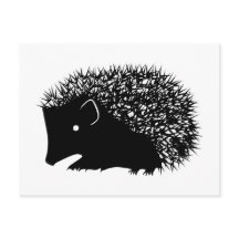 Cartões postais Hedgehog
