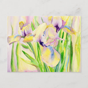 Cartões postais Iris Gingerbird