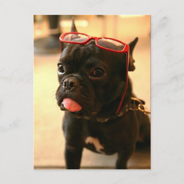 Cartões postais Kenken A (Frente)