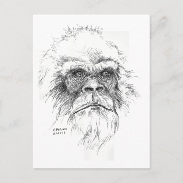 Cartões postais LTB (Frente)