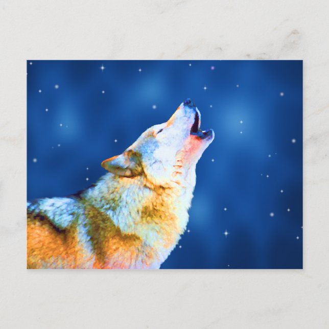 Cartões postais Midnight Howl (Frente)