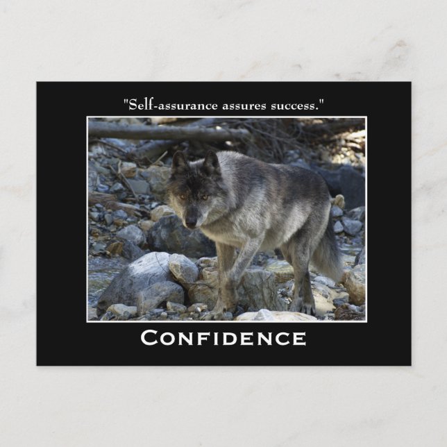 Cartões Postais Motivacionais do Wolf cinza (Frente)