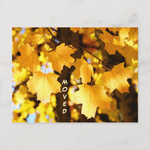 Cartões Postais Mudados Endereço Novo Personalizad