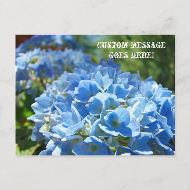 Cartões Postais Natureza Personalizados Negócios H (Frente)