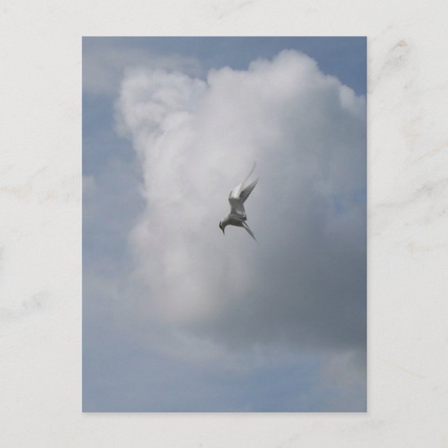 Cartões postais no céu (Frente)