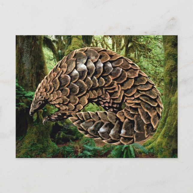 Cartões postais Pangolin (Frente)