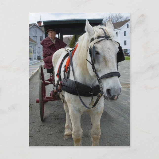 Cartões postais para cavalos místicos (Frente)