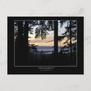 Cartões postais para cenários florestais