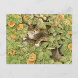 Cartões postais para pintura de gatos