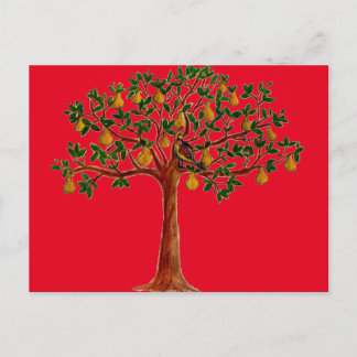 Cartões Postais Partridge 2 in a Pear Tree