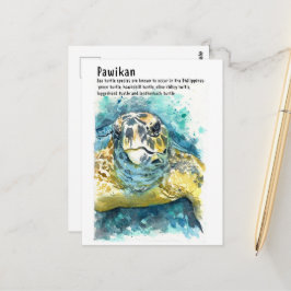 Cartões postais Pawikan/ Tartaruga Filipina - DNM