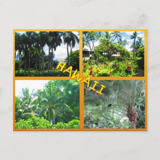 CARTÕES POSTAIS PERSONALIZADOS- COLAGEM HAWAII nº  (Frente)