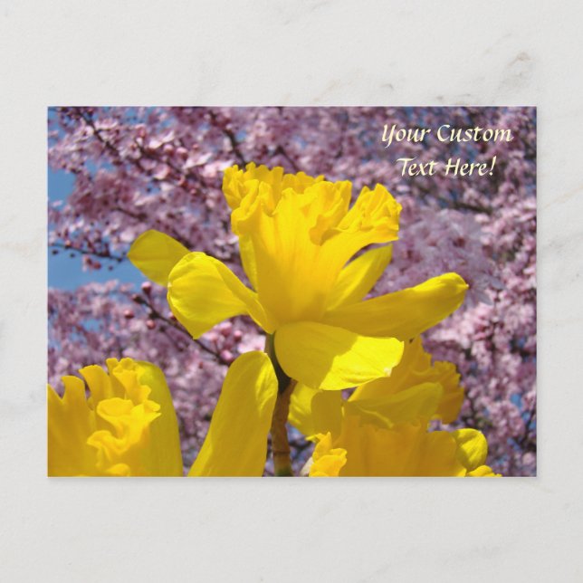 Cartões Postais Personalizados Flores Narcisos em  (Frente)