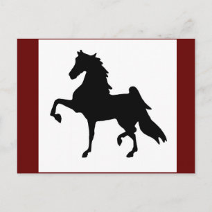 Cartões postais - Saddlegeneto americano Silhoutt