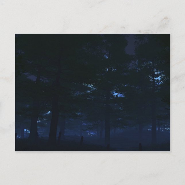 Cartões postais secretos da natureza (Frente)