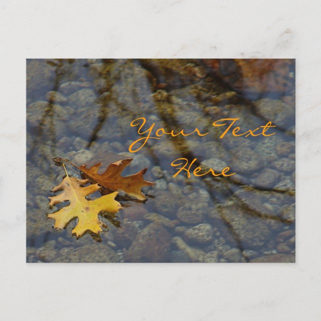 Cartões postais Sequoia (Frente)