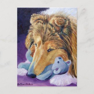 Cartões postais Shetland Sheepdog