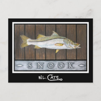 Cartões postais Snook