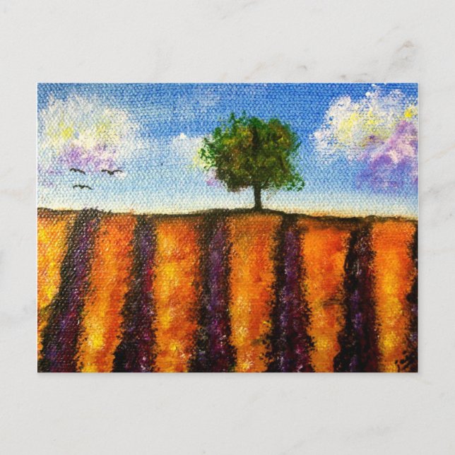 Cartões postais sobre os campos de Lavanda (Frente)