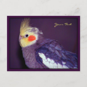 Cartões postais Tiel