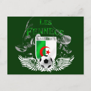 Cartões postais Ultra Legal Les Fennecs Algerie