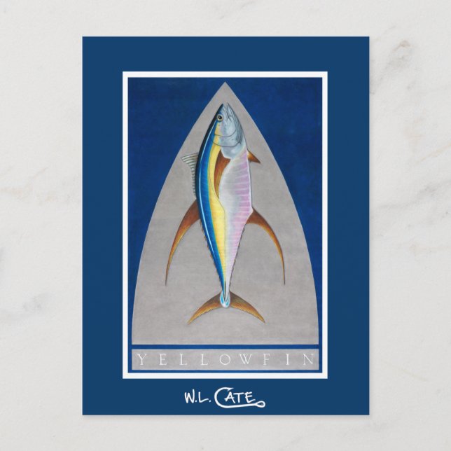 Cartões postais Yellowfin (Frente)