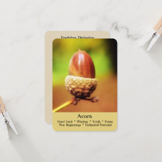 Cartões Ritual, Divincionados e Curadores - Acorn