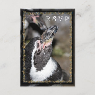 Cartões RSVP de Casamento de Zoológico Penguin