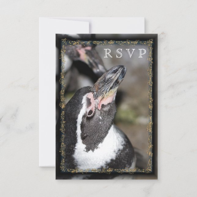 Cartões RSVP de Casamento de Zoológico Penguin (Frente)