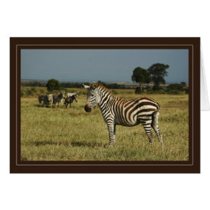 Cartões salva-vidas zebra