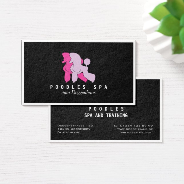 Cartões Spa Poodles (Mesa)