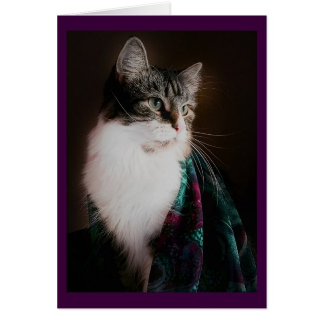 Cartões vazios do gato elegante (Frente)