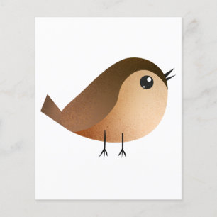 Cartografia de Pássaro Sparrow