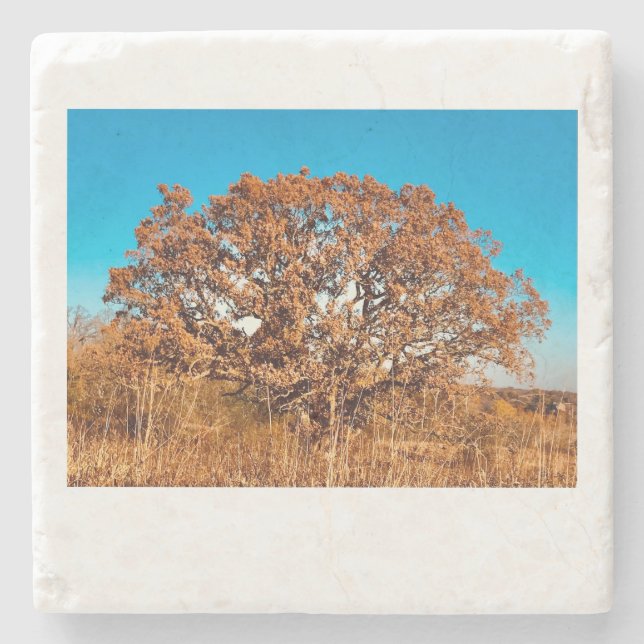 Carvalho de Ferro com Porta copos de Pedra Brilhan (Frente)