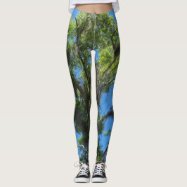 Carvalho verde e céu azul em leggings