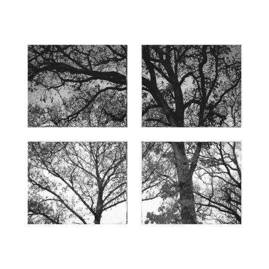 Carvalhos da arte da parede no impressão da foto