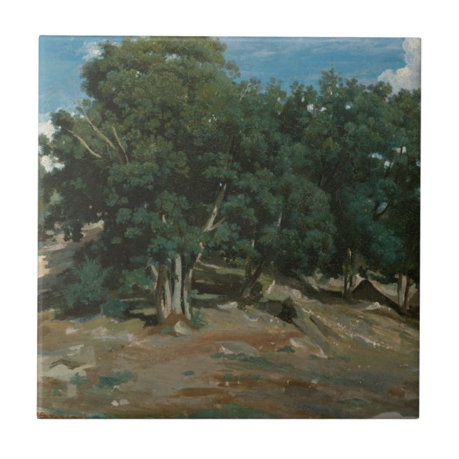 Carvalhos de Fontainebleau (Frente)