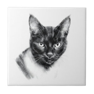 Carvão de Gato