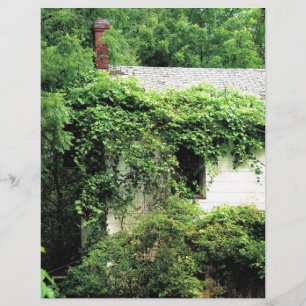 Casa Branca Abandonada na Floresta