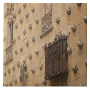 Casa de las Conchas, Casa das Conchas