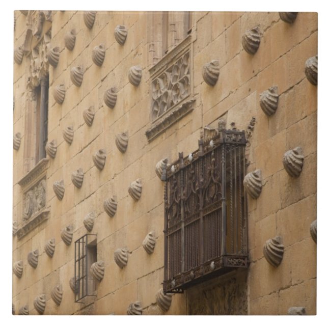 Casa de las Conchas, Casa de Conchas (Frente)