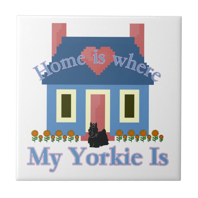 Casa é Yorkshire Terrier (Frente)