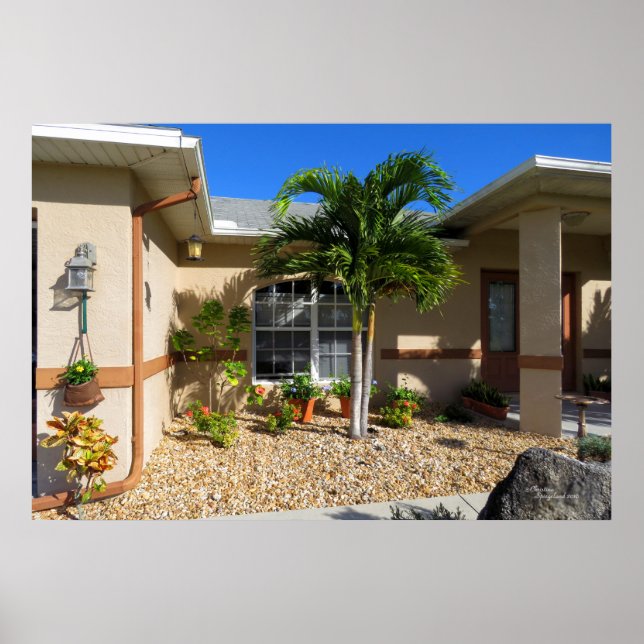 Casa tropical Plumbago Hibiscus flores Poster (Frente)