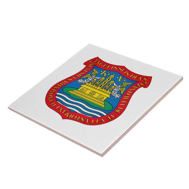 Casaco de Armas de Puebla de los Ángeles, México (Lateral)