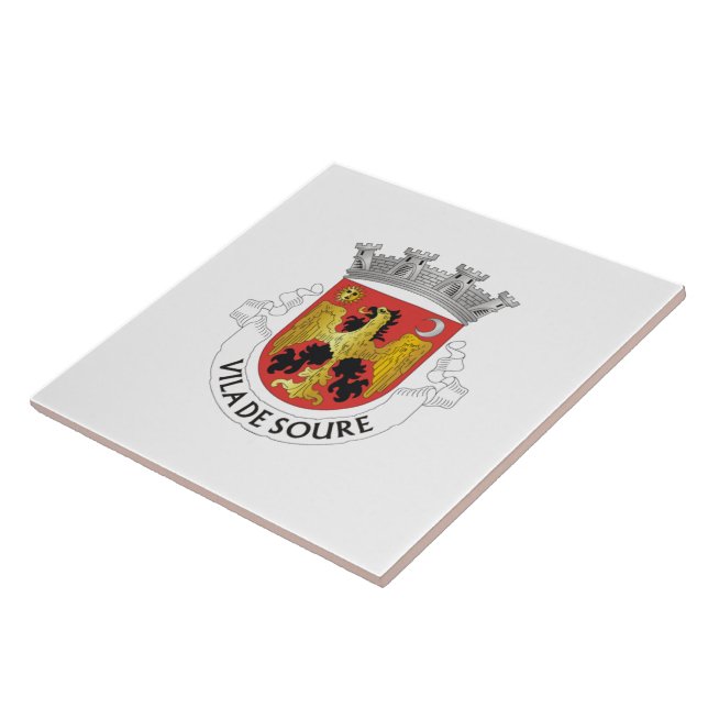 Casaco de Armas do Sul, Portugal (Lateral)