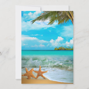 Casal da estrela do mar - DIY pronto para o