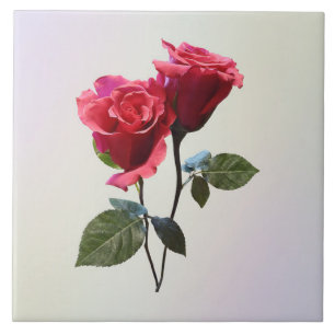Casal de Rosas