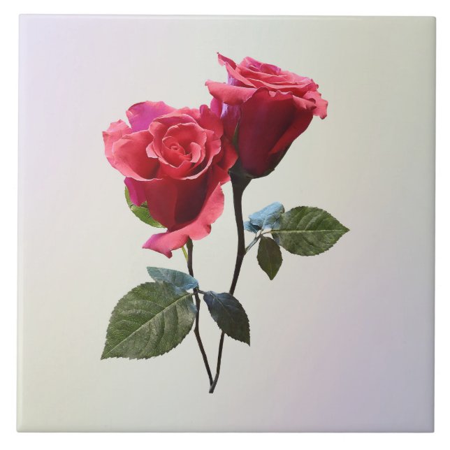 Casal de Rosas (Frente)